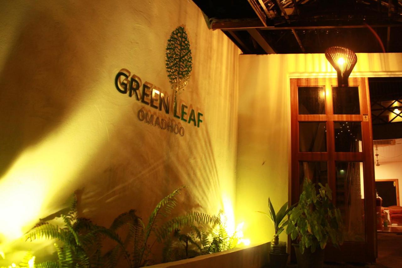Green Leaf Guest House - Omadhoo Exterior foto
